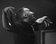 10619